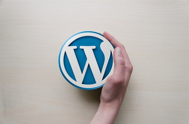 wordpress-site-web logo