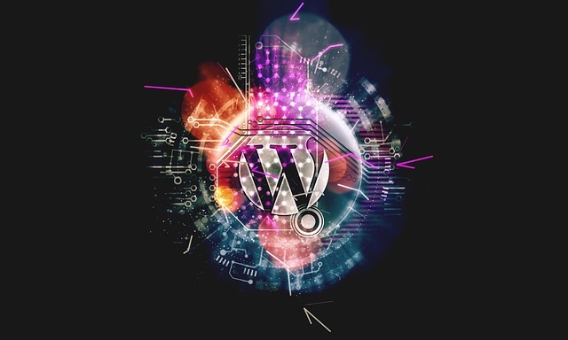 logo wordpress coloré installer